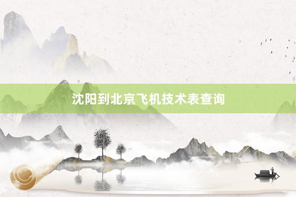 沈阳到北京飞机技术表查询